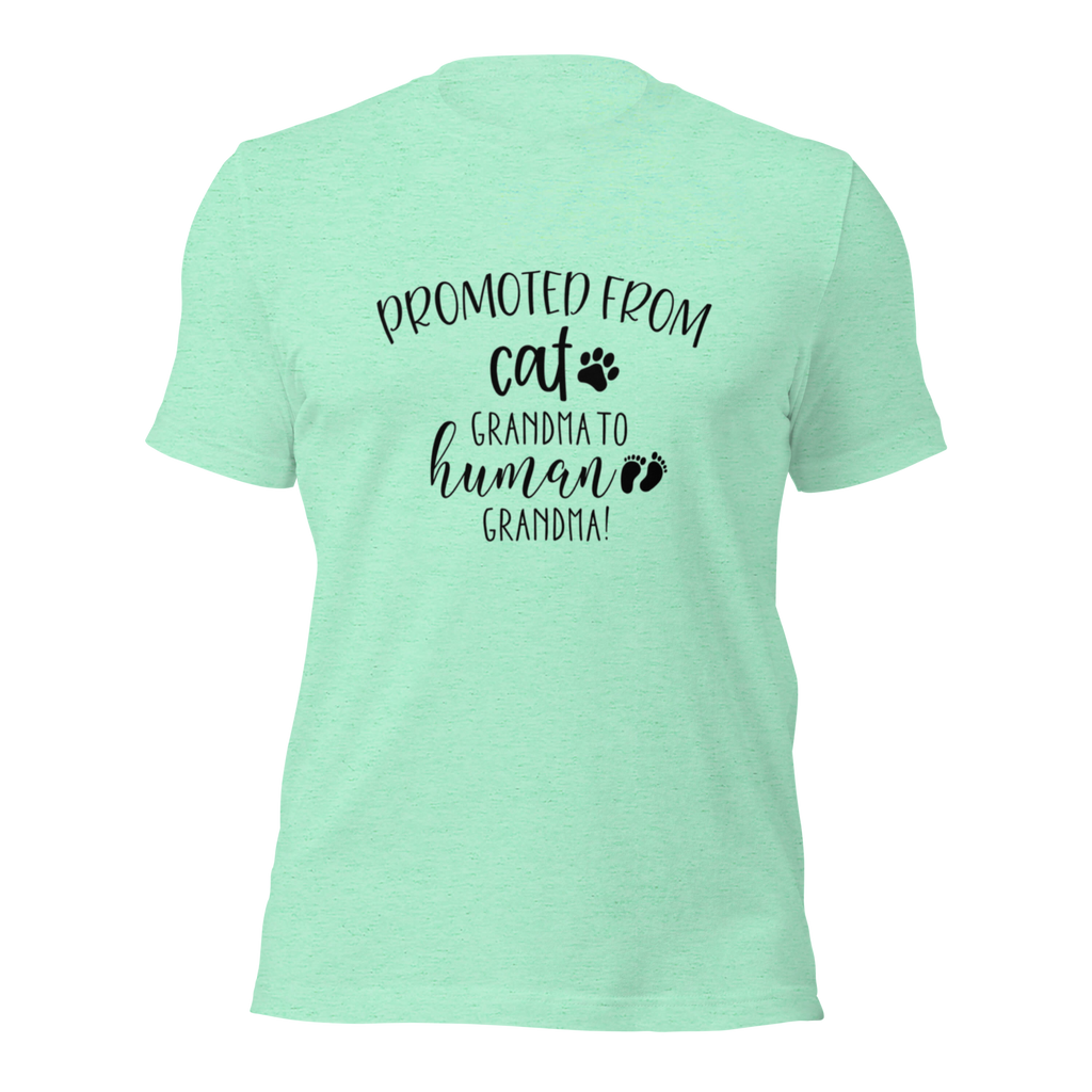 Promoted from Cat Grandma to Human Grandma T-Shirt